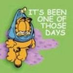 pic for Garfield Bad Day